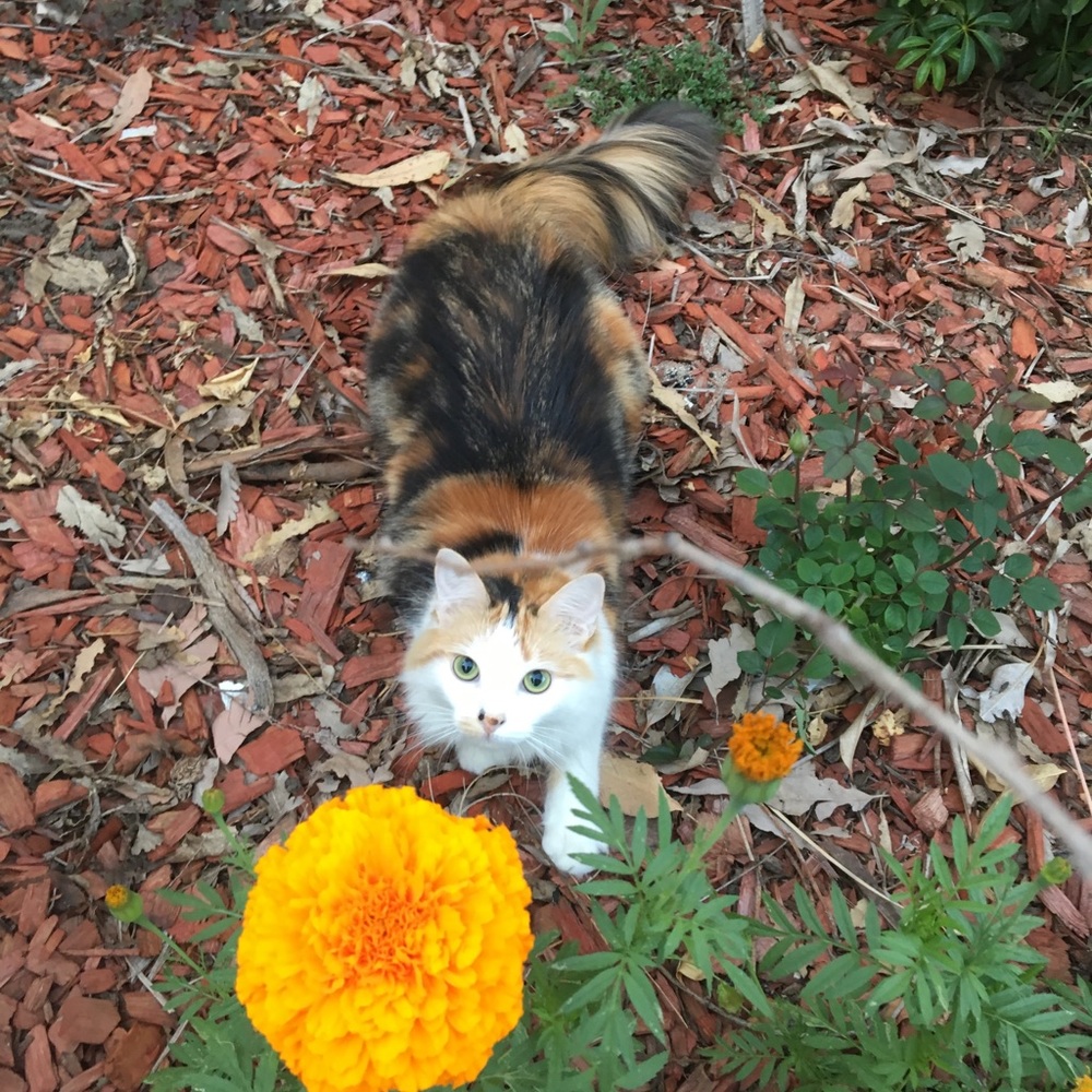 Meet your Posher, Ash